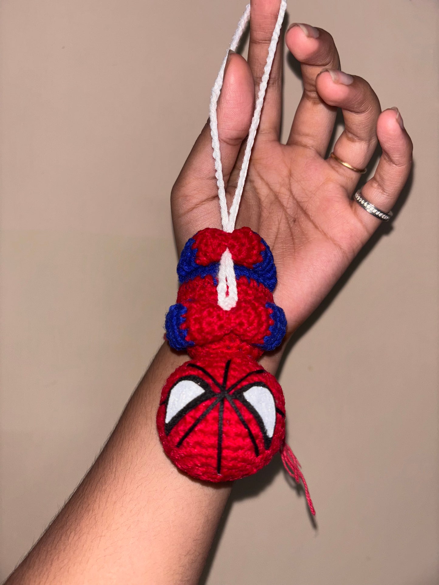 Hanging Spidy